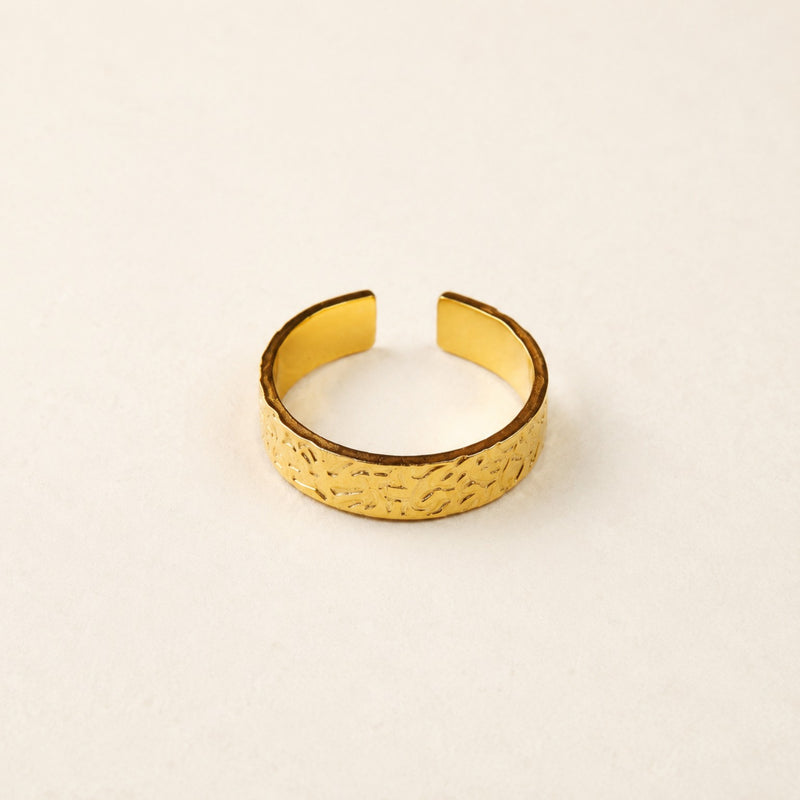 Anel Terra Dourado